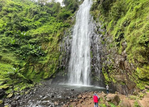 Materuni waterfalls,coffee tour & Kikuletwa(Chemka)Hot Springs