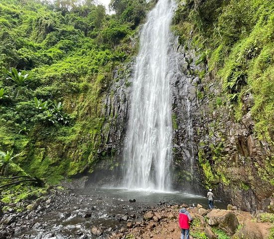 Materuni waterfalls,coffee tour & Kikuletwa(Chemka)Hot Springs