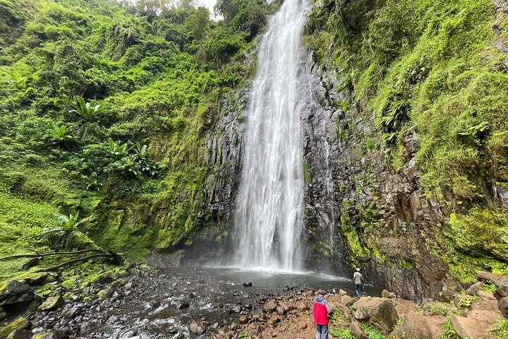 Materuni waterfalls,coffee tour & Kikuletwa(Chemka)Hot Springs