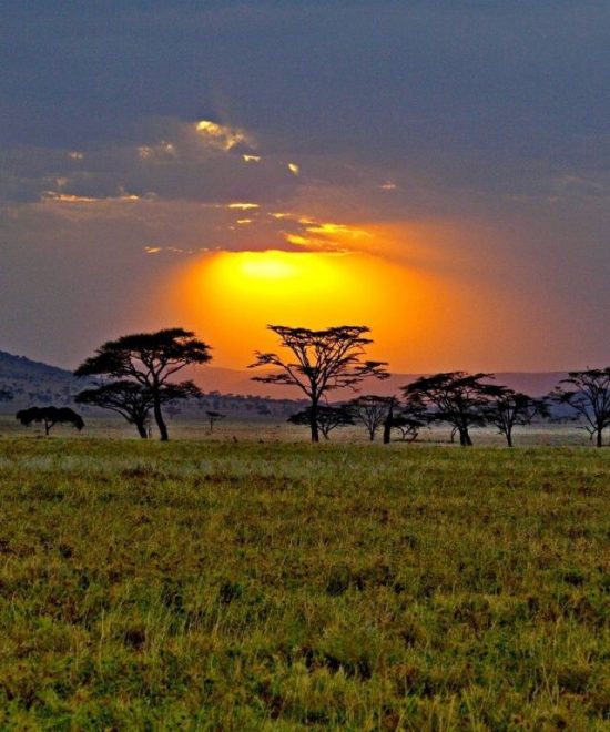 6-Day Luxurious Safari Experience.