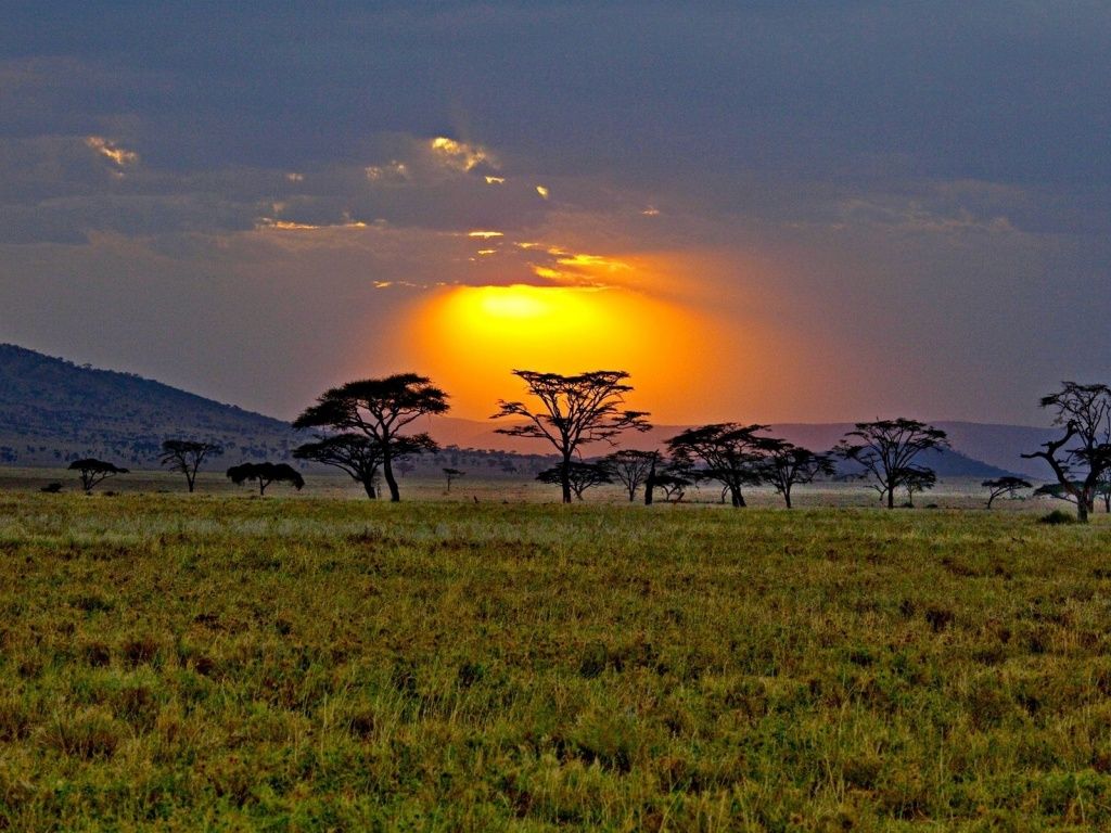 6-Day Luxurious Safari Experience.