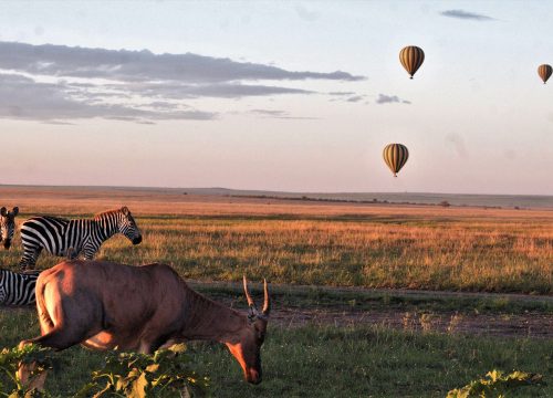 Tanzania Travel Advice