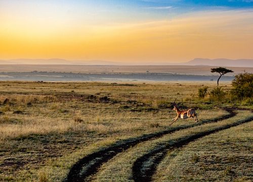 When is the Best Time To Visit Tanzania?